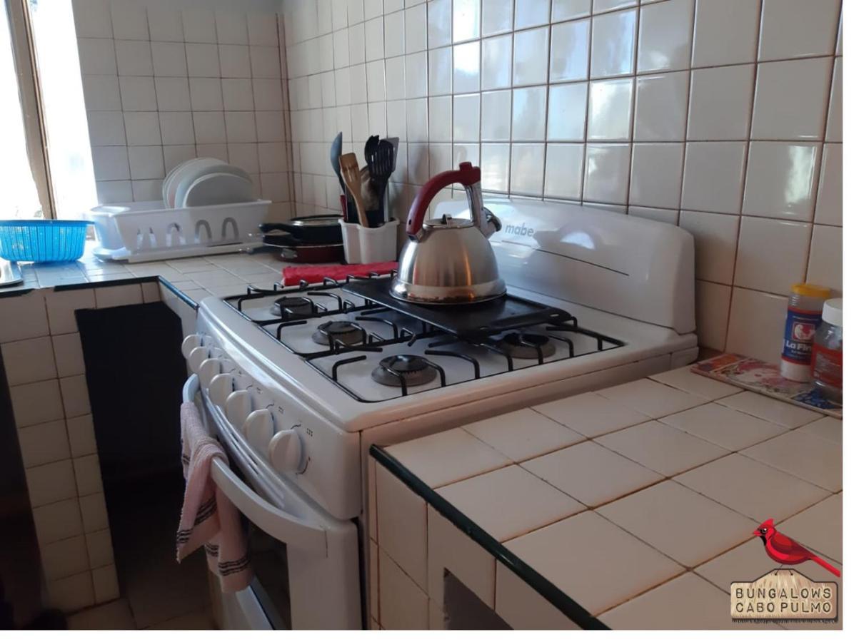 Bungalows Cabo Pulmo Dış mekan fotoğraf