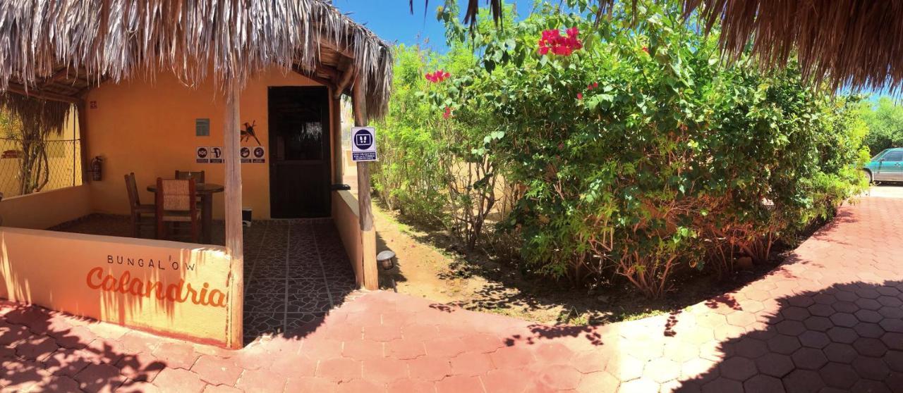 Bungalows Cabo Pulmo Dış mekan fotoğraf