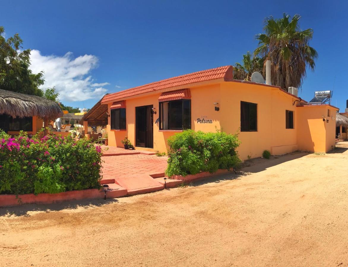Bungalows Cabo Pulmo Dış mekan fotoğraf