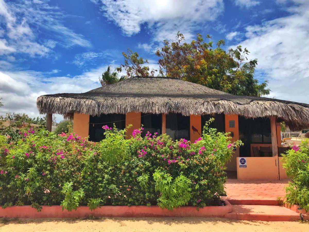 Bungalows Cabo Pulmo Dış mekan fotoğraf
