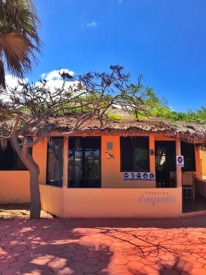 Bungalows Cabo Pulmo Dış mekan fotoğraf