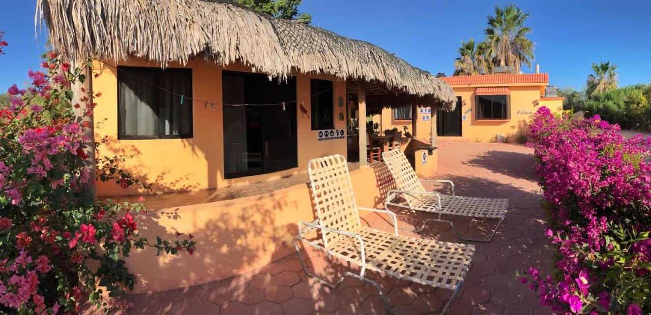 Bungalows Cabo Pulmo Dış mekan fotoğraf