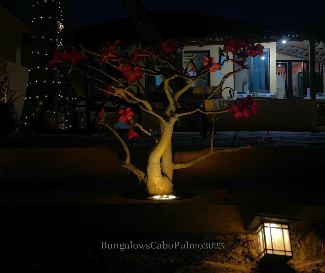 Bungalows Cabo Pulmo Dış mekan fotoğraf