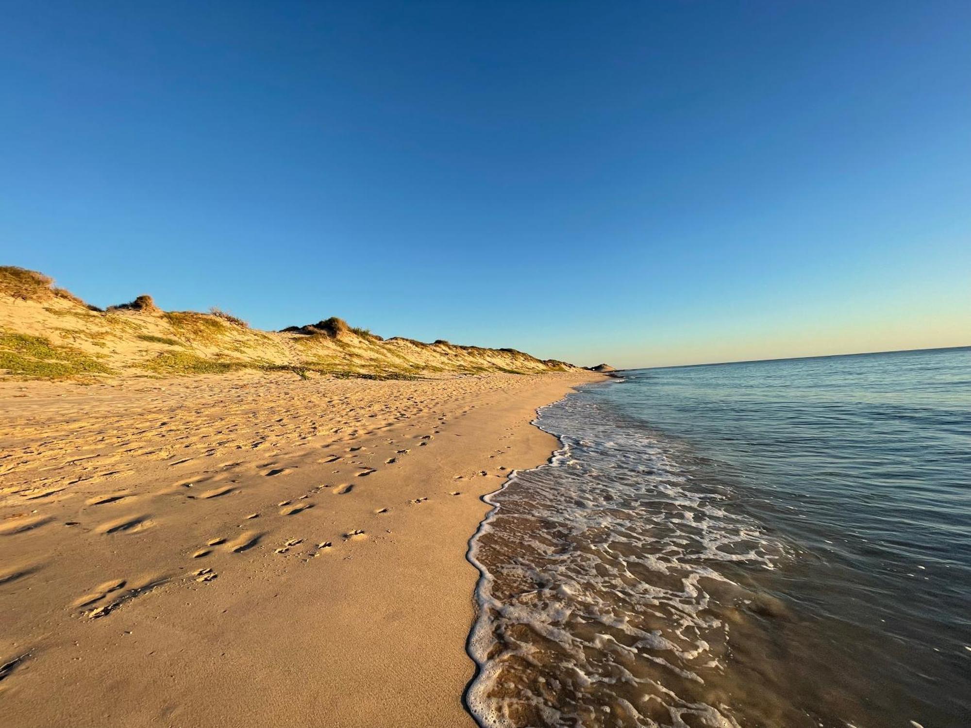 Bungalows Cabo Pulmo Dış mekan fotoğraf